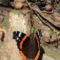 Татьяна Иванова - Трускова - photographer