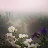 Елена Кобелева - фотограф