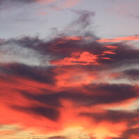 Aleksei Utkin - photographer