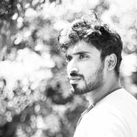 John britto - фотограф