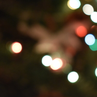 Денис Краснощеков - photographer