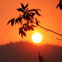 Aung Kyaw Soe Aung Kyaw Soe - фотограф