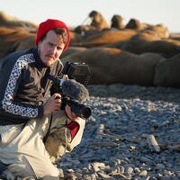 Александр Кузнецов - photographer