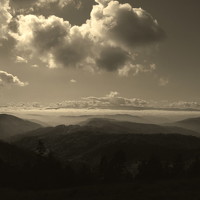 Nermina Selmanovic - photographer