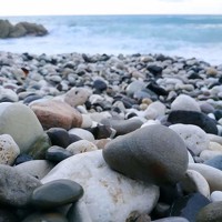 Taylor-Ann Brown - photographer