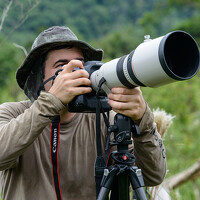 JEFFERSON RODRIGUES DE OLIVEIRA E SILVA - photographer