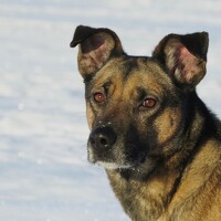 Анна Азарёнок - photographer