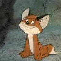 Ольга Иванова - photographer