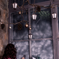 Шевчук Елена Константиновна - photographer