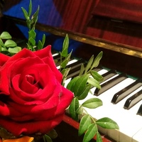 Любовь Макарова - photographer