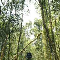 Phuoc Dung Nguyen - photographer