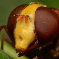 Михаил Колтухов - photographer