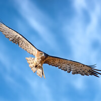 Burla Arie - photographer