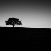 Joao Martinho - photographer