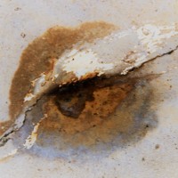 Lucia Alvarez Rilla - photographer