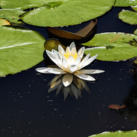 Can O. Gunay - photographer