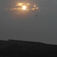 Syed Musharaf Abbas Naqvi - photographer