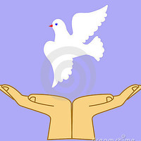 Karim Shokair - фотограф