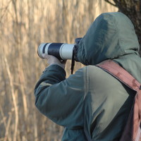 Desanka Kocoljevac - photographer