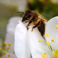 Ольга Дорошенко - photographer
