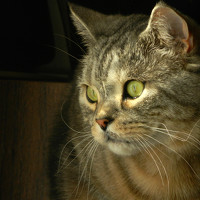 Alexandere1 - photographer