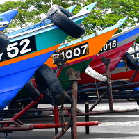 ElektroNik - photographer