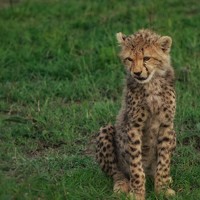 Zarak Naeem - photographer