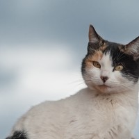 Ariel Rebolledo - photographer